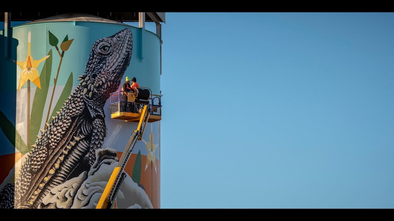 Brenton See's PUBLIC Silo Trail mural in Newdegate