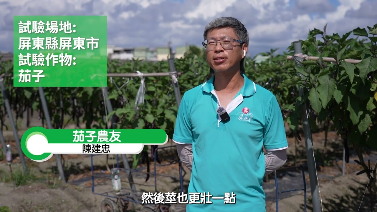 蔬菜作物應用: 茄子 精華