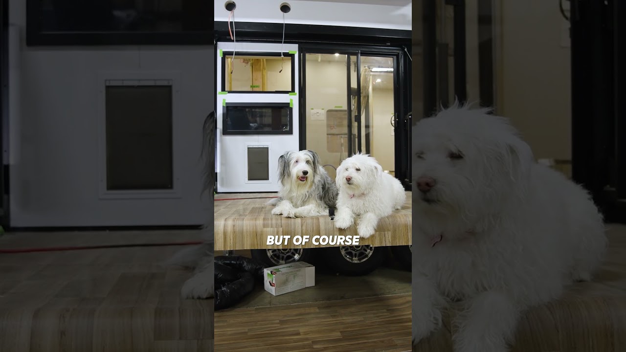 The Flipping Nomad's Pups Get Pampered in The Ultimate Fuzion