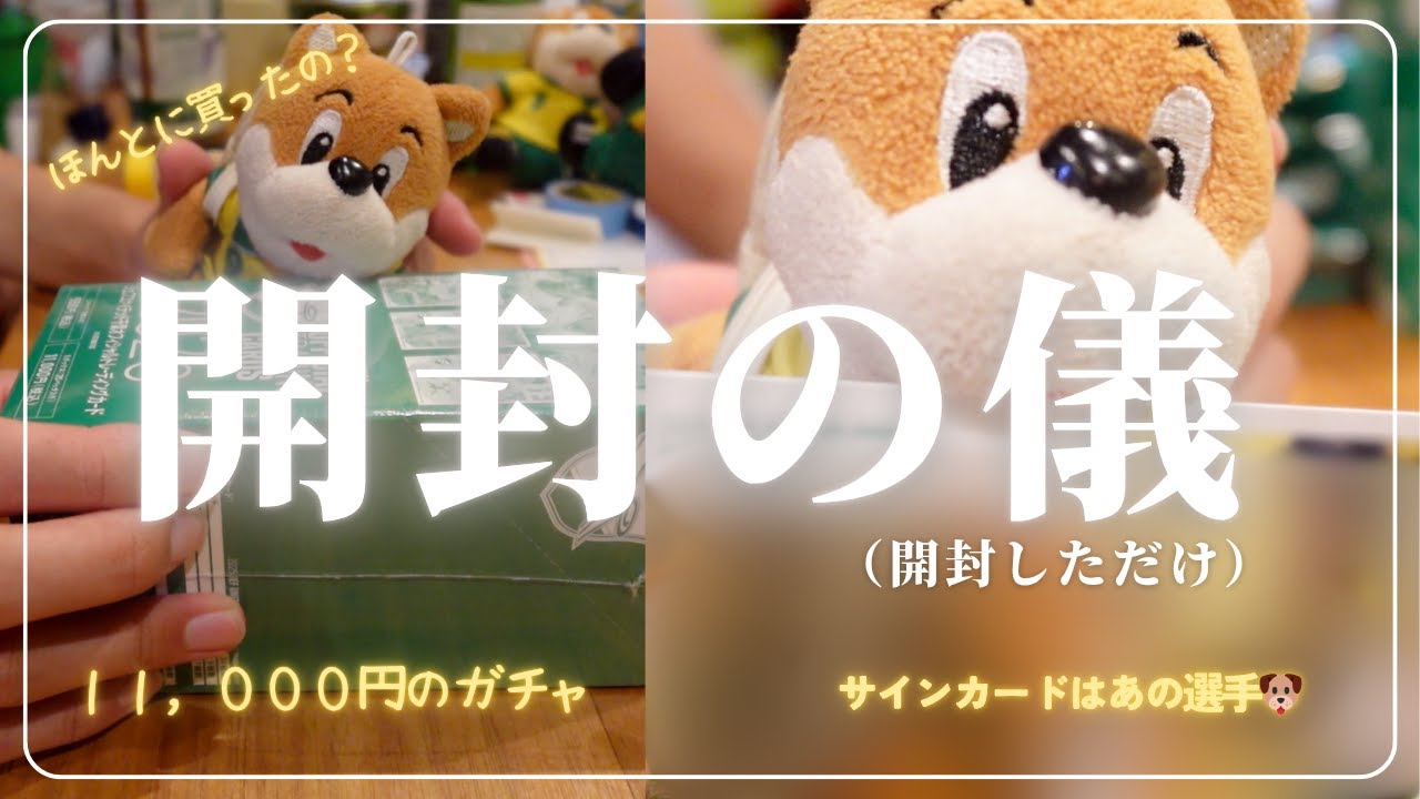 【ジェフBOX開封動画】あの高級カードボックス購入したので開封してみました🐶サインカードは、、、ご覧ください😊