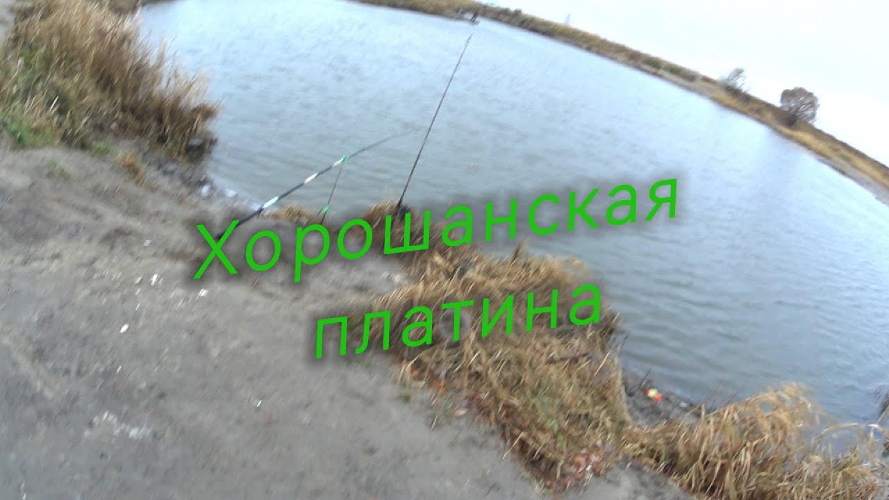 Хорошанская платина