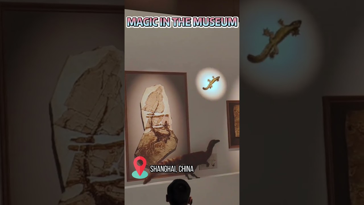Magic In The Museum 