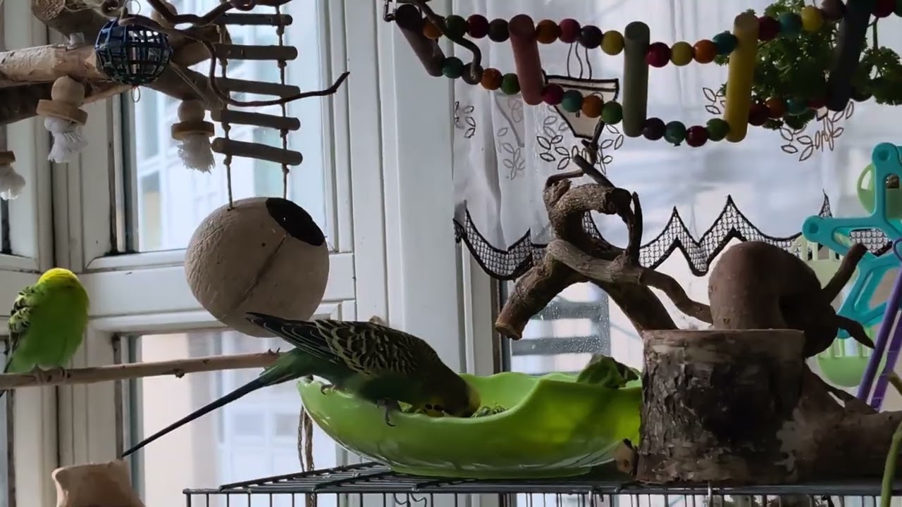 Gina und Tami/am Morgen 