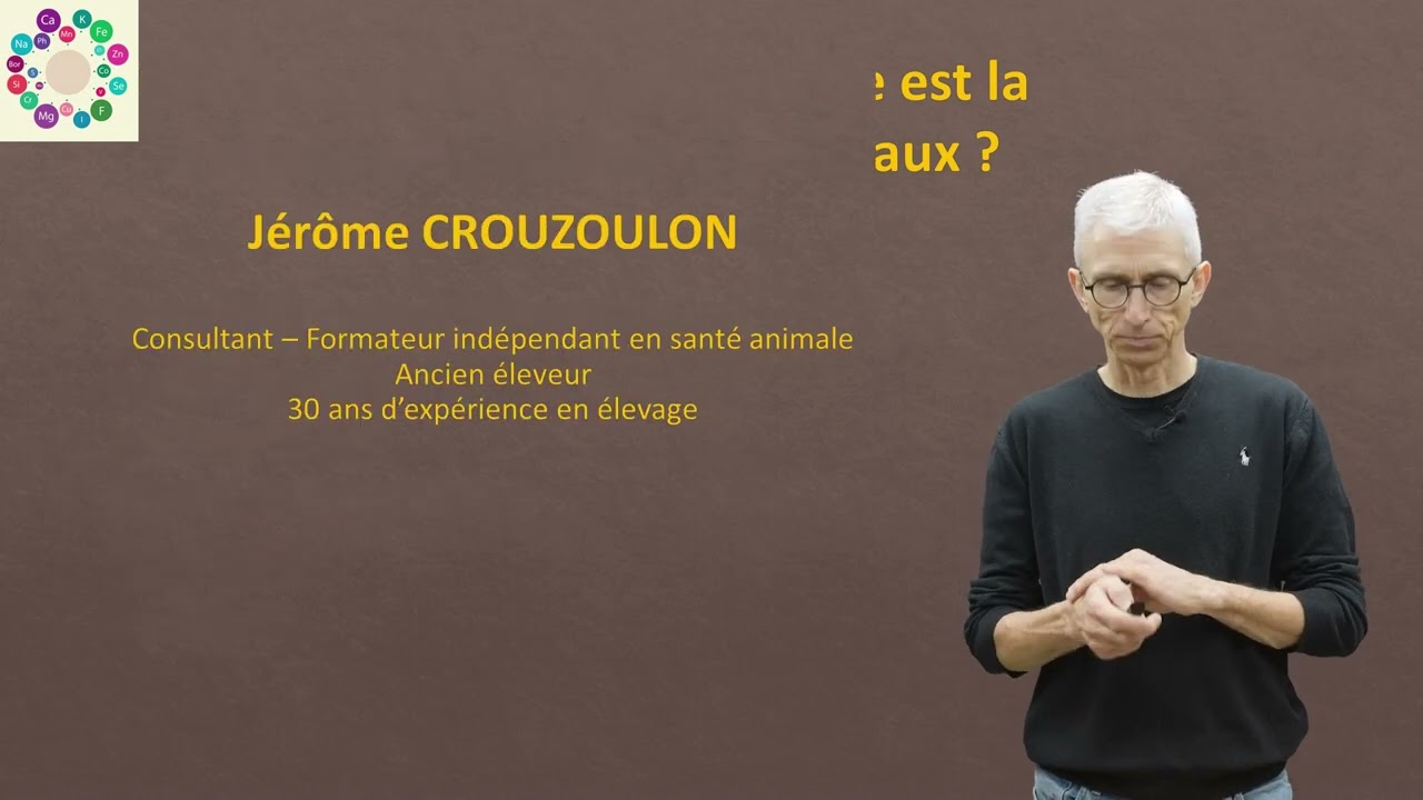 Minéraux et vitamines : quelle est la formule adaptée à mes ruminants ?