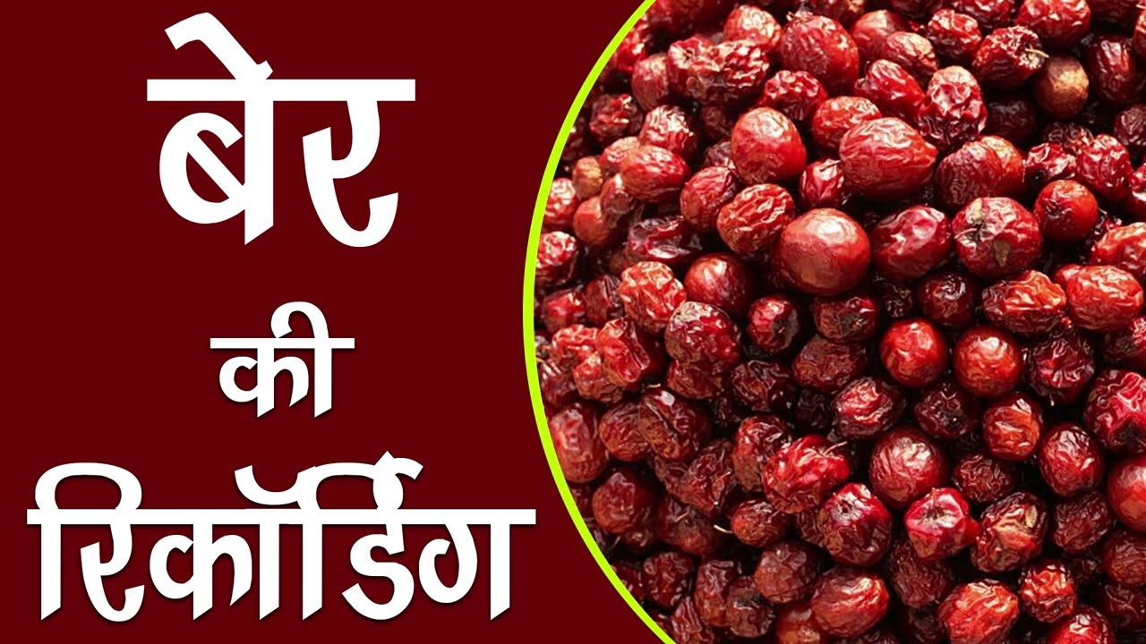 [ हिंदी ] मीठे बेर बेचने की रिकॉर्डिंग II देशी बेर रिकॉर्डिंग II बेर का Audio Prachar II 2023