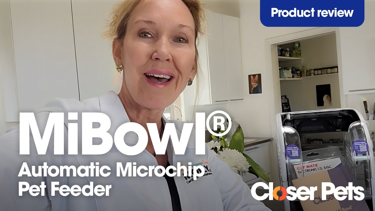 Автоматическая кормушка для кошек Closer Pets MiBowl® с микрочипом | Обзор продукта