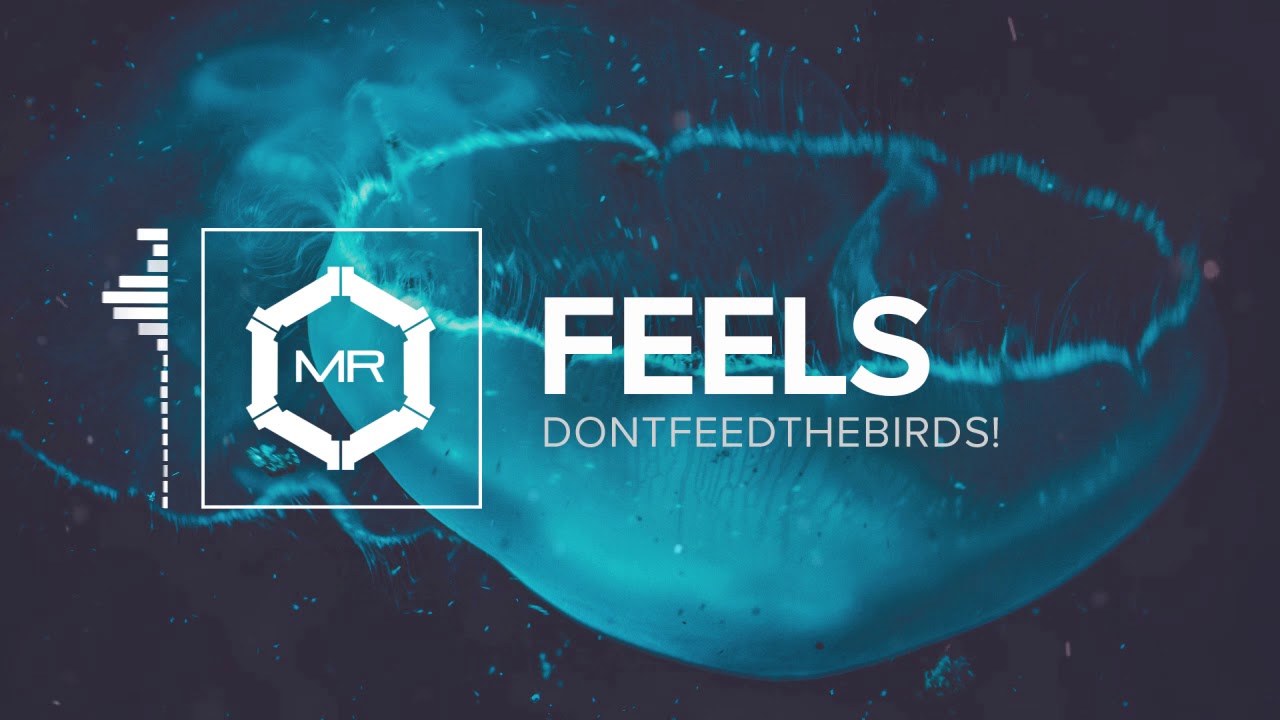 DONTFEEDTHEBIRDS! - Feels [HD]