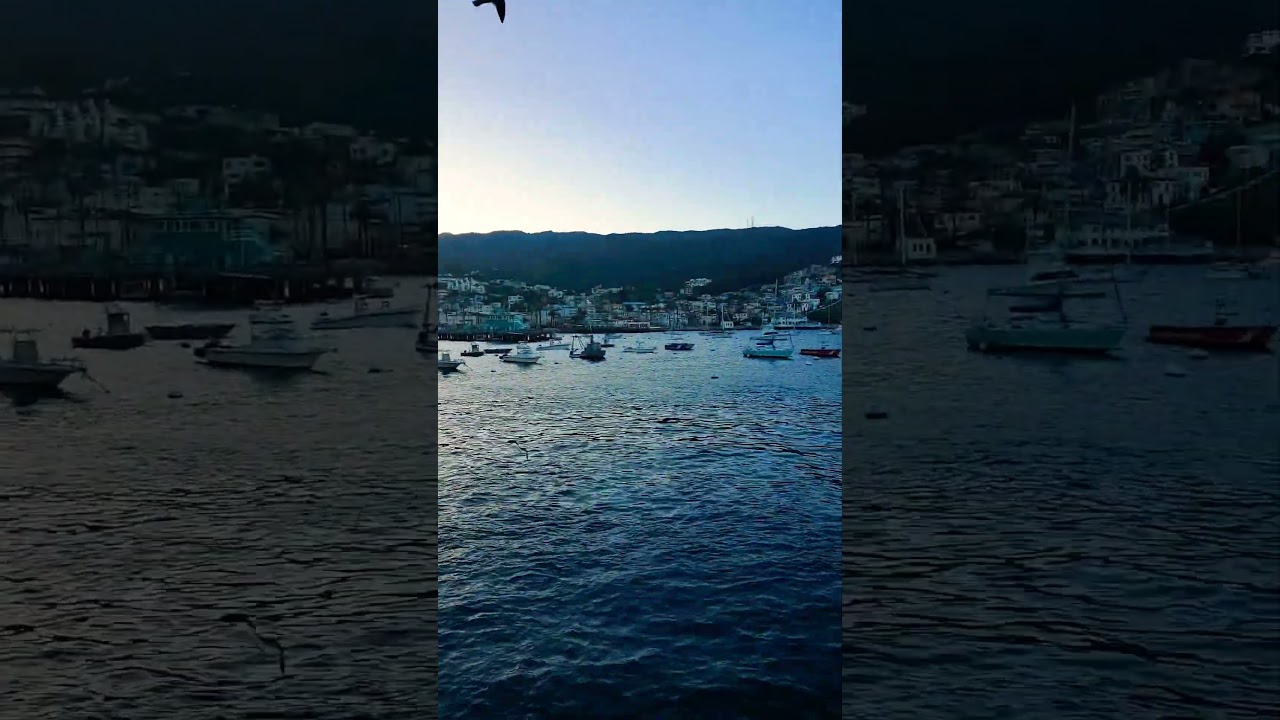 #Catalina