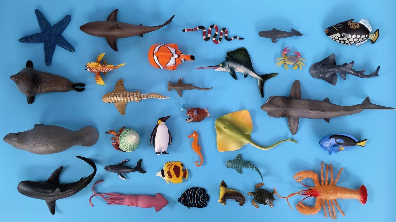 Hewan Laut Hiu Putih, Lobster, Ikan Lepu, Pemicu Badut, Pari, Kepe Auriga, Penyu, Paus, Gajah Laut
