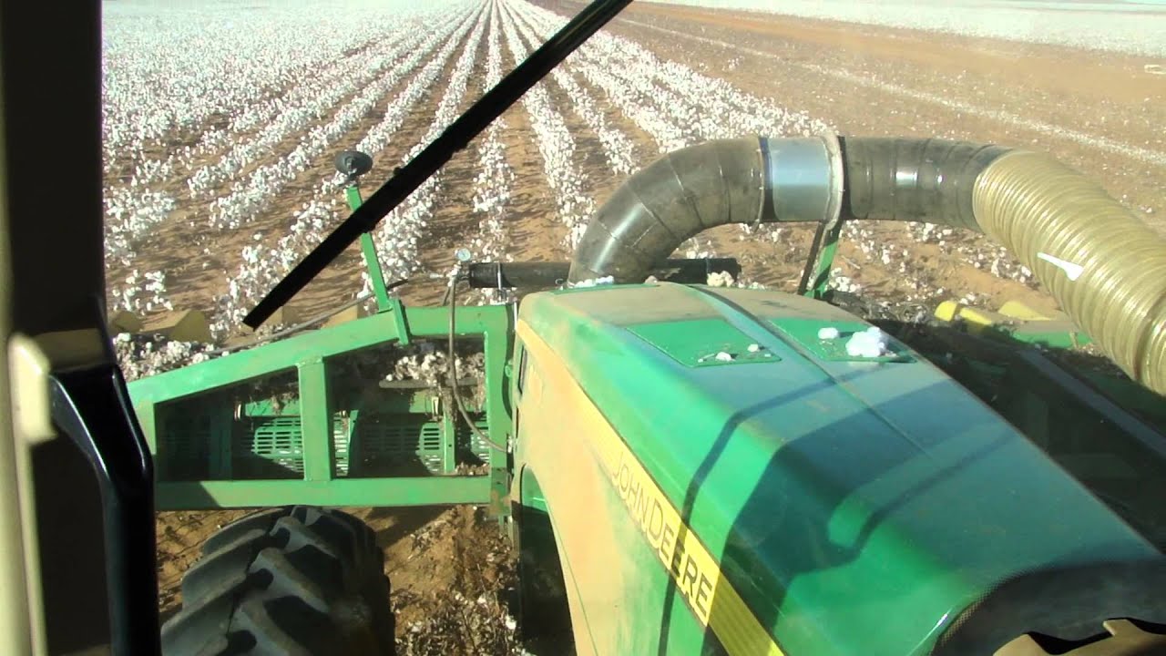 12row_40