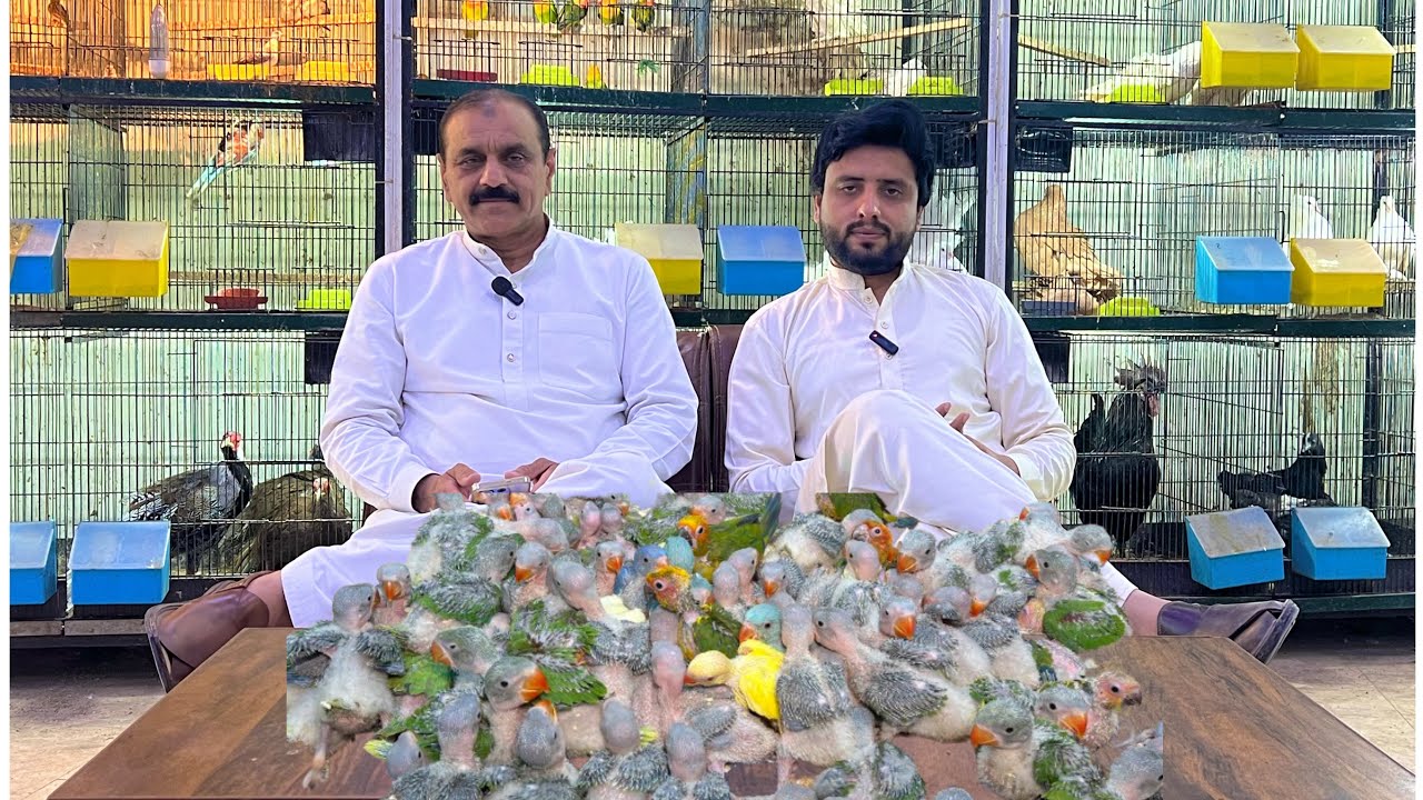 Multan Sunday Birds Rasheedabad 18 Marach 2024 latest Update​ I Part 2