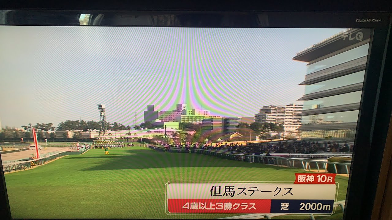 但馬S カイザーバローズ 川田将雅 アルサトワ 幸英明