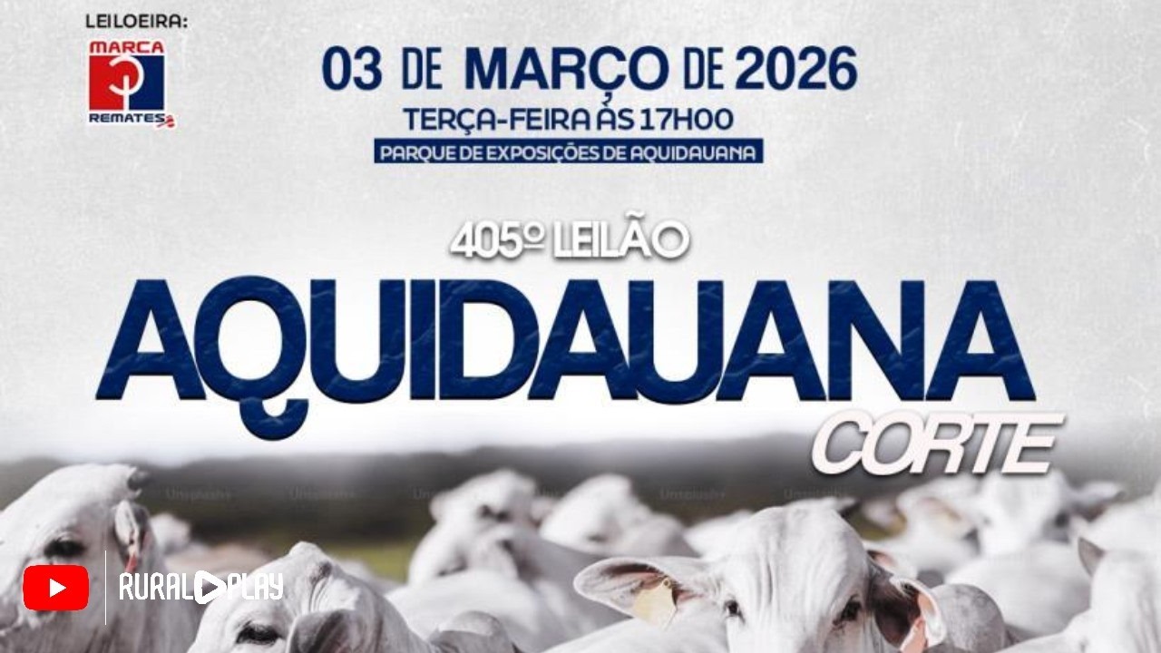 405º LEILÃO MARCA P REMATES - AQUIDAUANA/MS - RURAL PLAY
