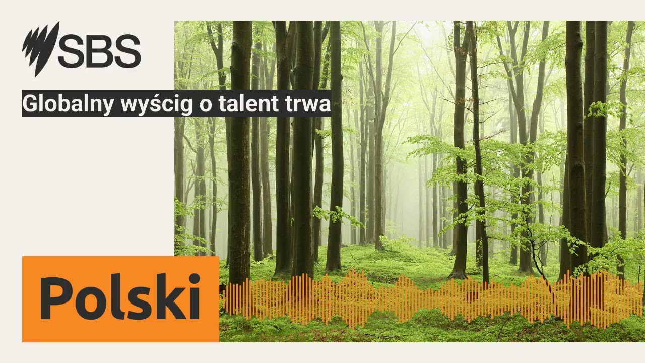 Globalny wyścig o talent trwa | SBS Polish - SBS po polsku