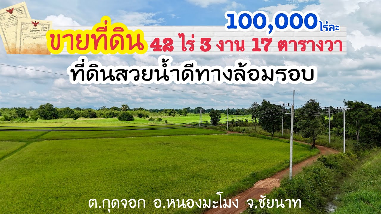 [ Ep.704 ] ขายที่ดินสวย 42 ไร่ 3 งาน 17 ตารางวา ติดทางสาธารณะ 2 ด้าน ติดเหมืองน้ำ ไร่ละ 100,000 บาท