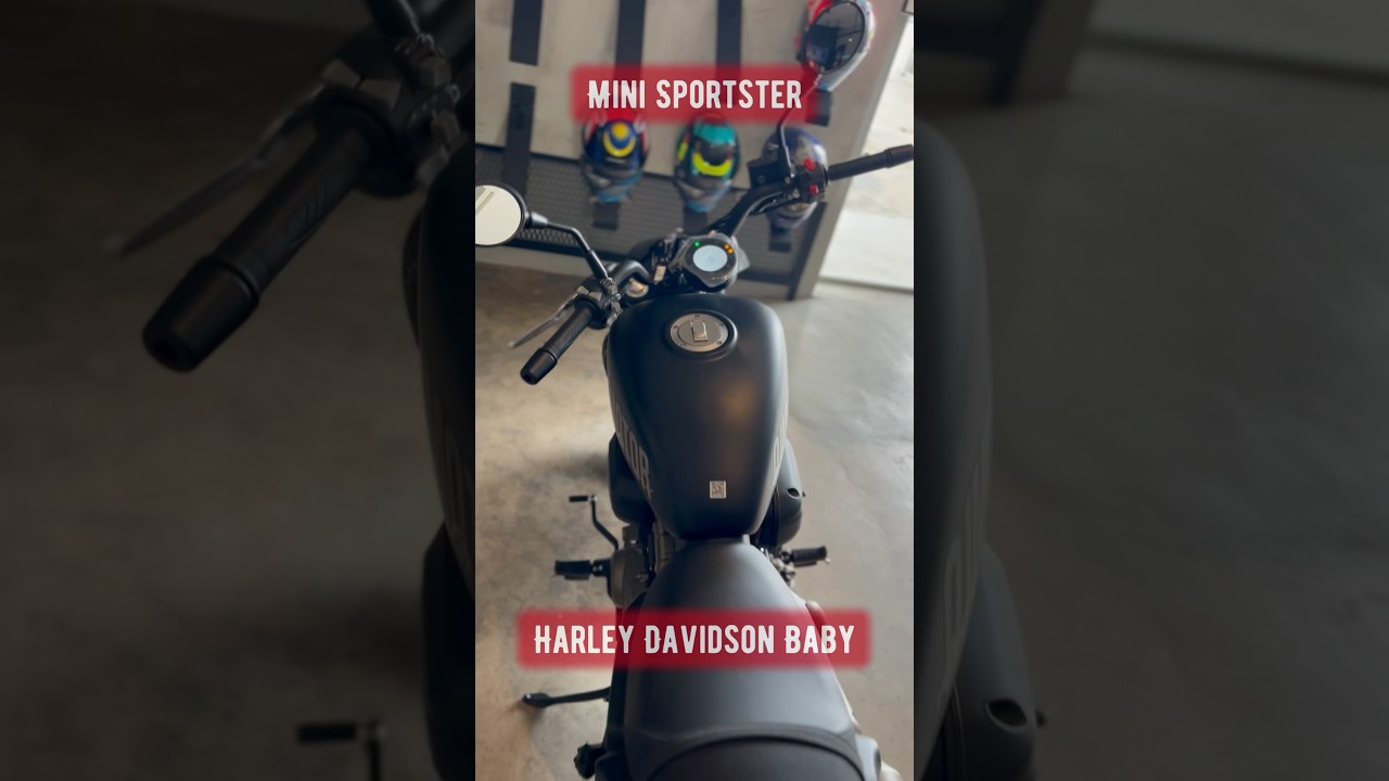 The New 2023 QJMOTOR SRV250S | Mini Sportster Baby Harley Davidson  #shorts #short #rider #motovlog