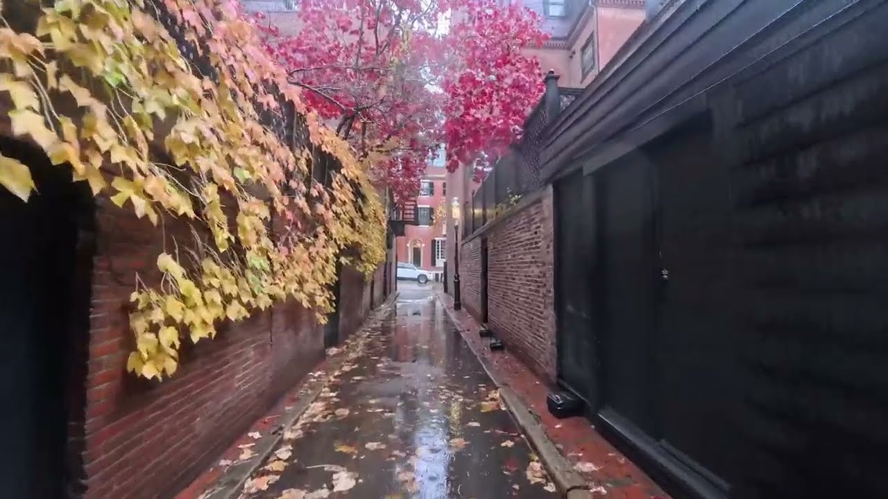 Cedar Lane Way on a rainy morning, Beacon Hill, BOSTON MASS.