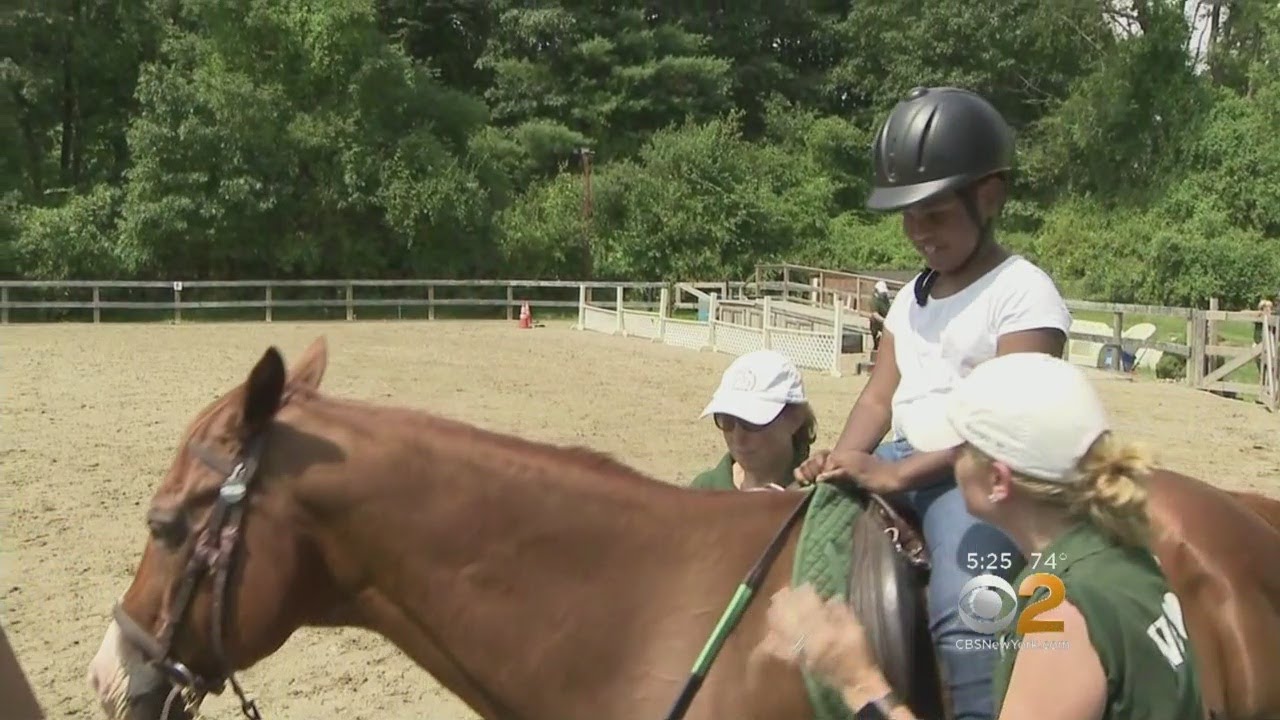 Kids With Special Needs Getting Special Therapy With The Help Of Horses