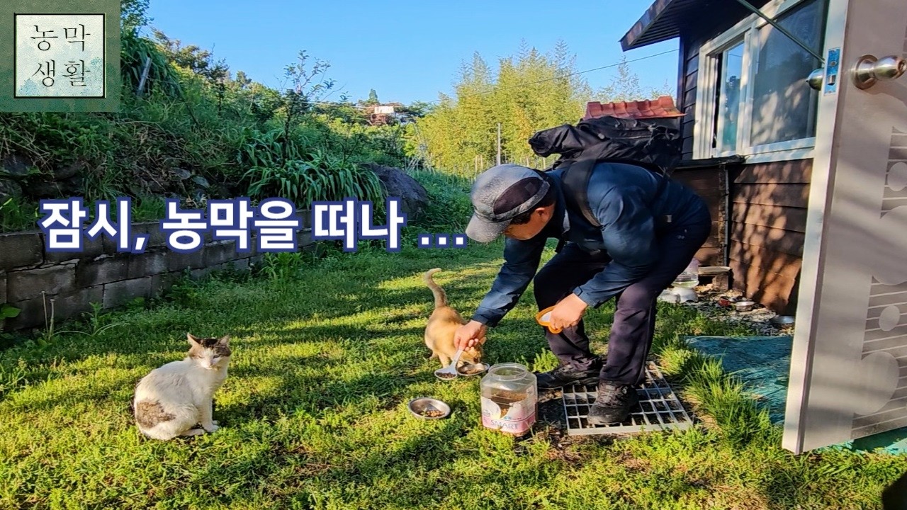 [텃밭 농막]농막을 떠나 꽃 속으로 – 부산 시민 공원에서 찾은 조용한 봄날
