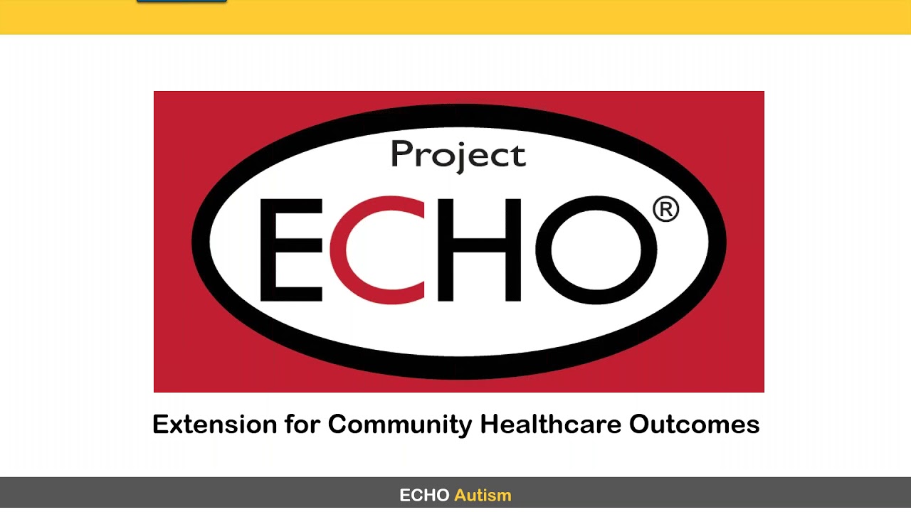 ECHO Autism:  Leveraging Partnerships to Build Autism Ready™ Communities-- May 2019 AARC Webinar