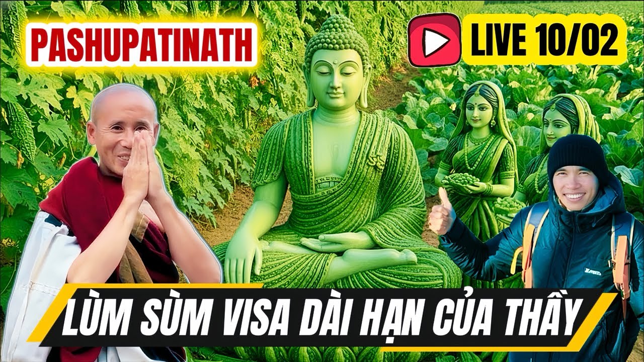 🔥 Lùm sùm visa dài hạn