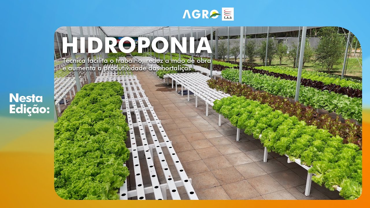 AgroFAG - 10/08/2025