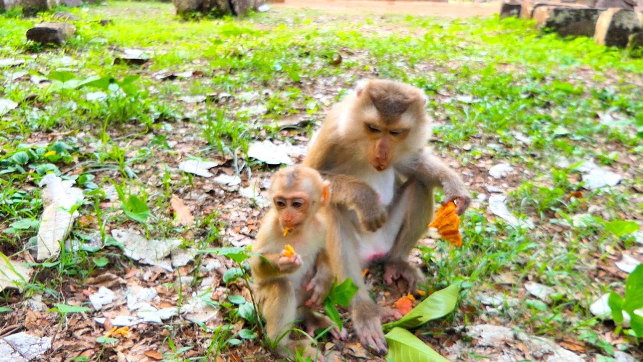 Joyce alway care about baby Jovi when she eat 14