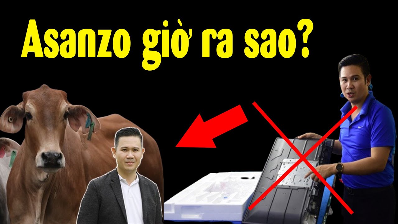 Bị tẩy chay vì lắp đồ Tàu gắn mác Việt, Asanzo giờ ra sao??