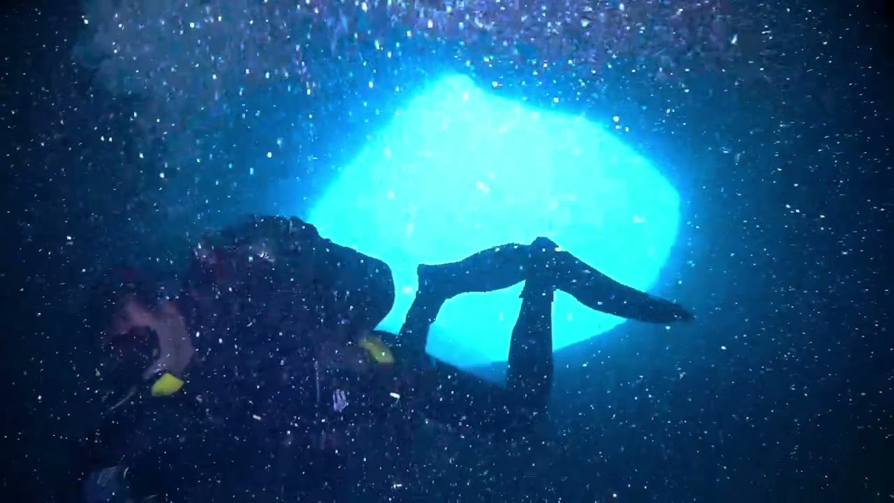 Buceo La Loberica en Reserva Marina Cabo Tiñoso