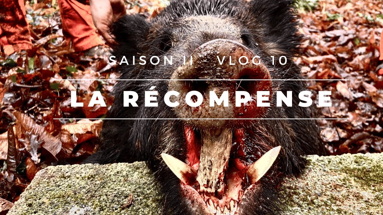 ★ Vlog 10 - La Récompense