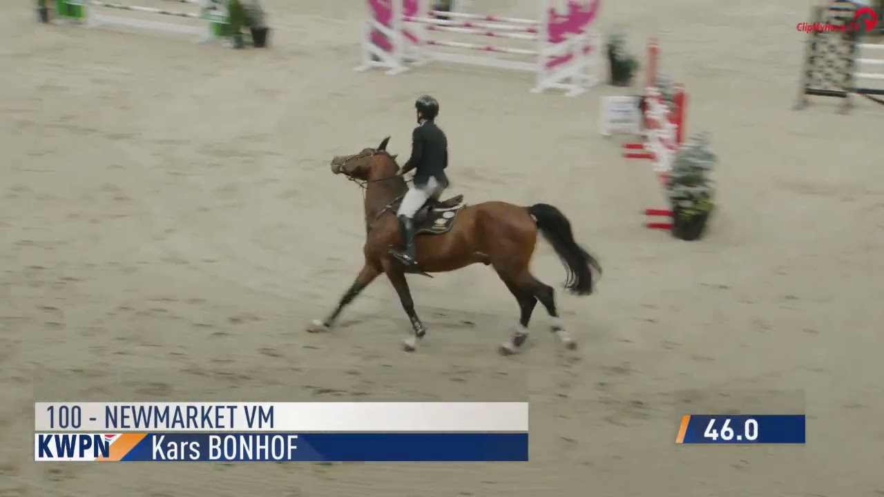 Newmarket VM stallion competition Groningen