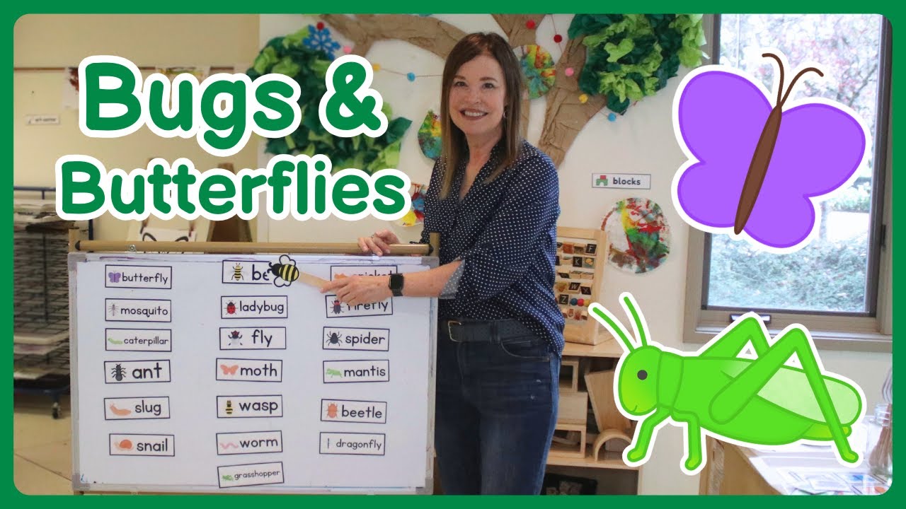 Toddler and Preschool Bugs & Butterflies Theme