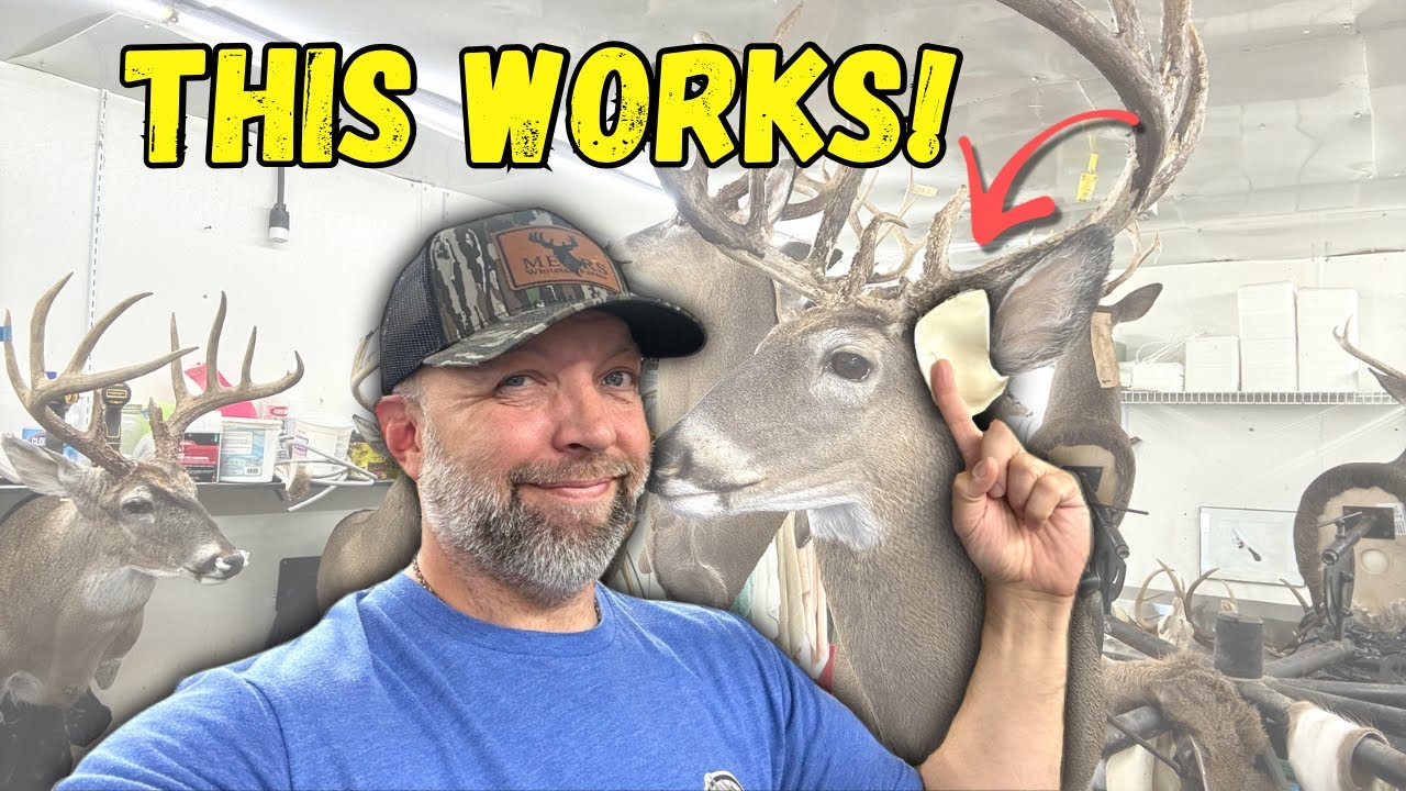Ear Butts Made Easy! New Tool Shapes Clay in Seconds! ***SUPER EASY*** Whitetail Taxidermy!