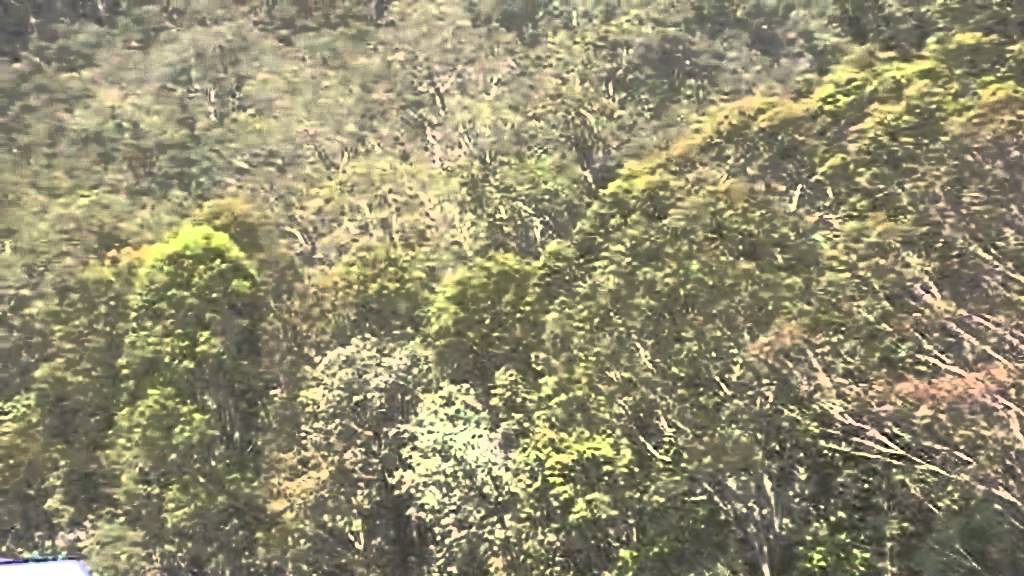 MOV07F