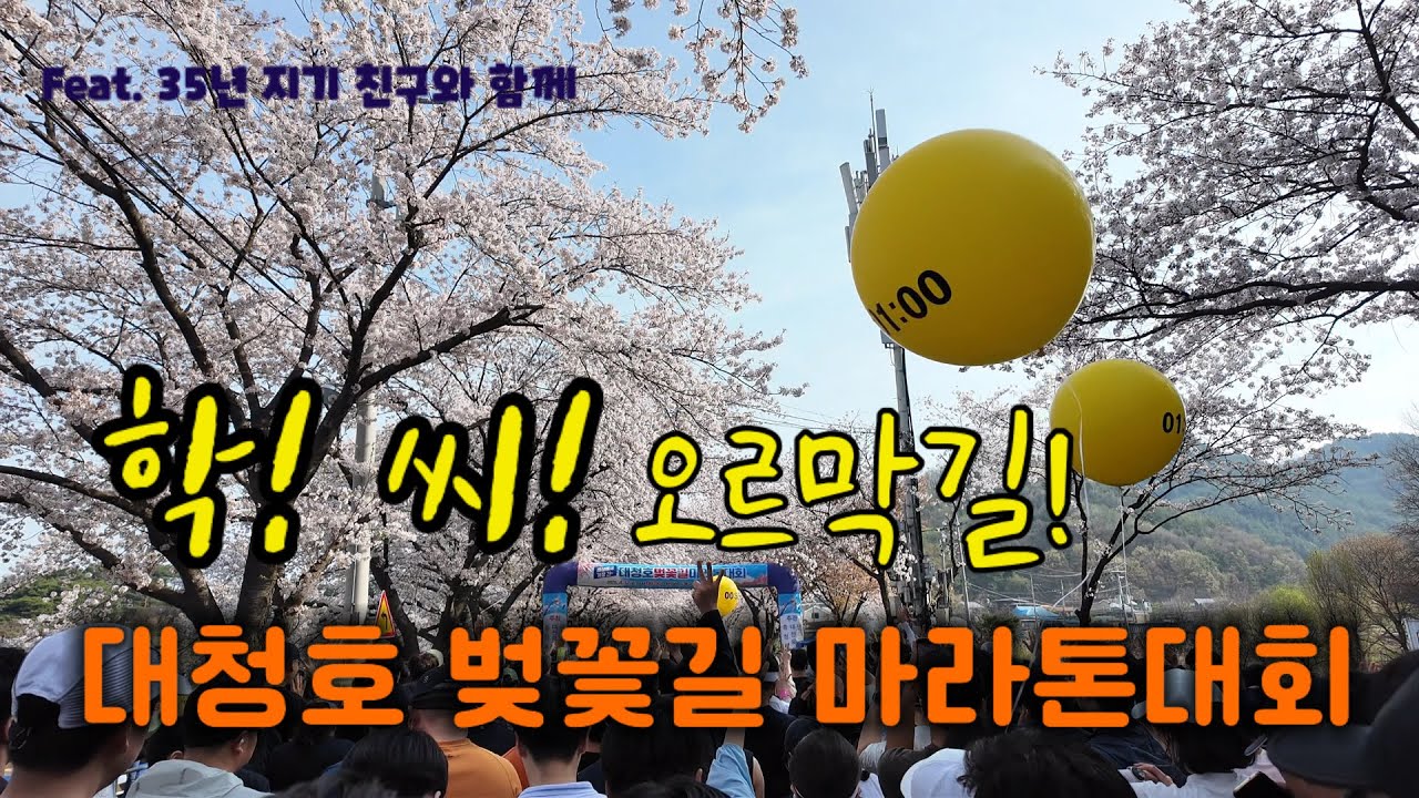 대청호 벚꽃길 마라톤대회 (10k) - 세상에서 가장 긴 벚꽃길 그리고 학! 씨! 죽음의 업힐! 친구가 주글것 같아요.