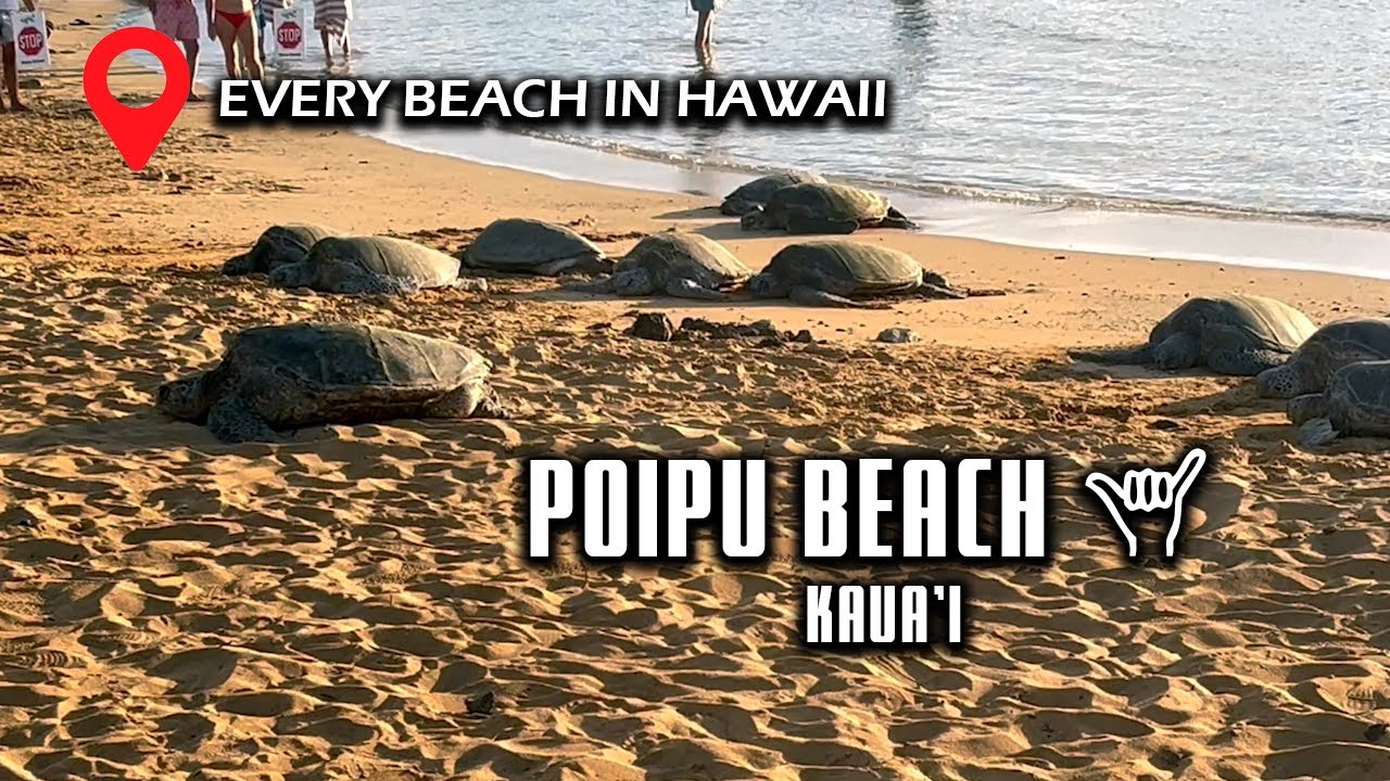 Poipu Beach Kaua'i