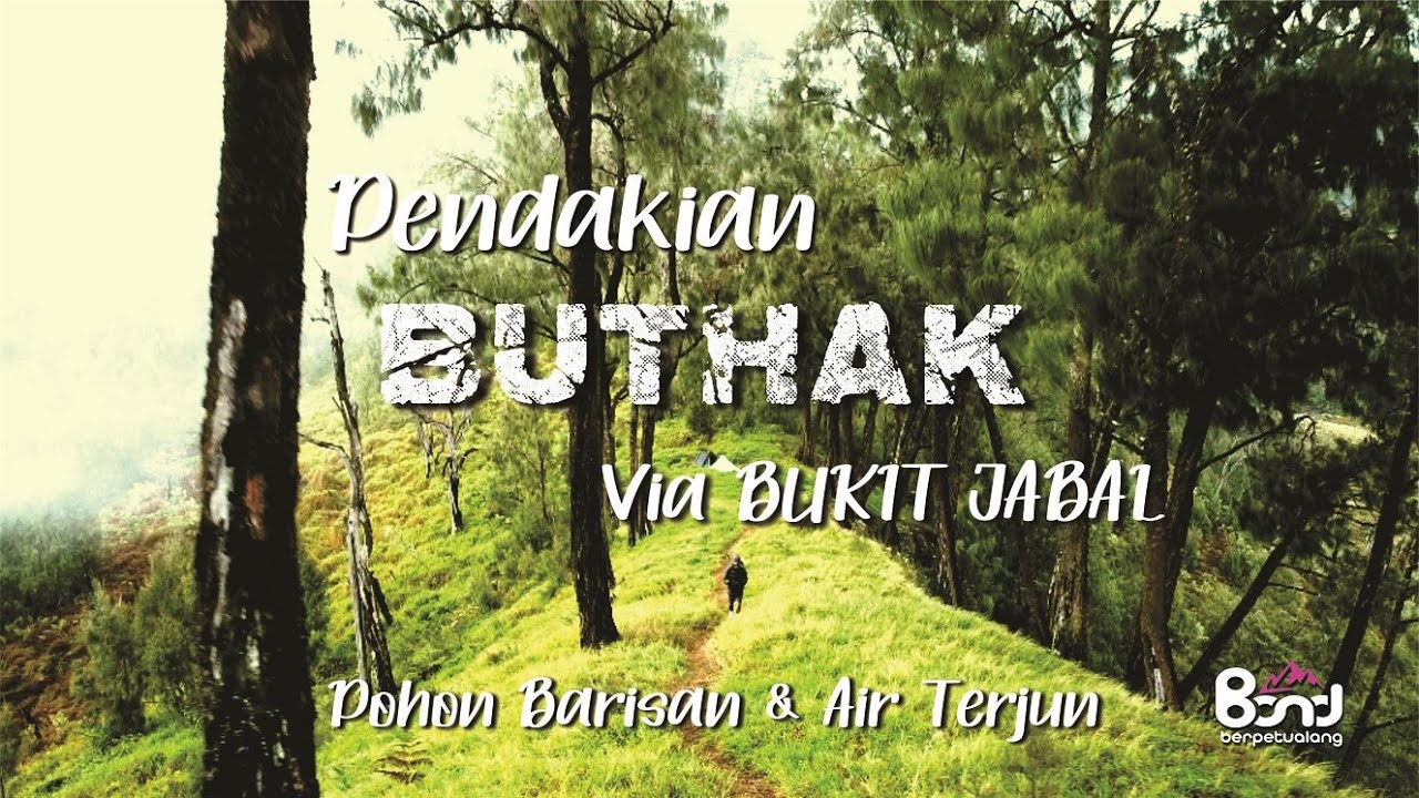 GUNUNG BUTHAK NOVEMBER 2024 VIA BUKIT JABAL - GUNUNG MALANG - POHON BARISAN #gunungbuthak #butak
