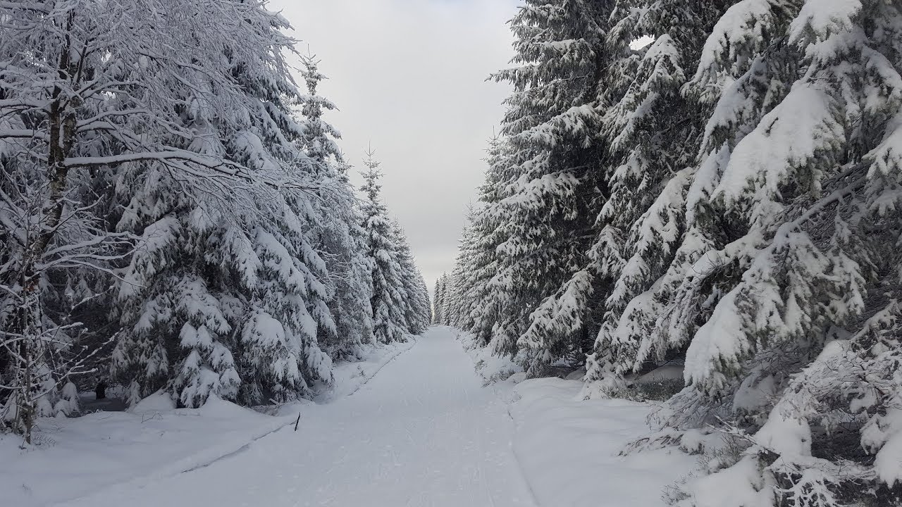 Winterimpressionen 2017/ 2018 - Winter im Thüringer Wald - Winterlandschaft - Winter Wonderland