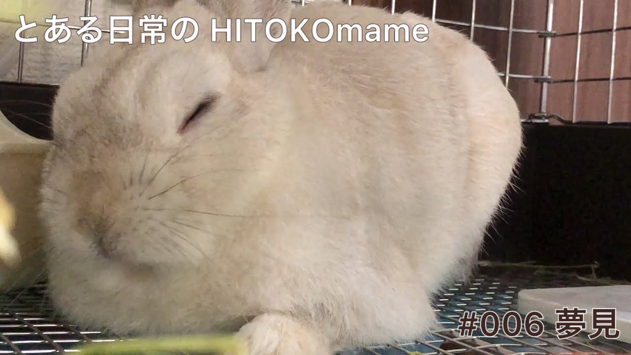 「夢見」