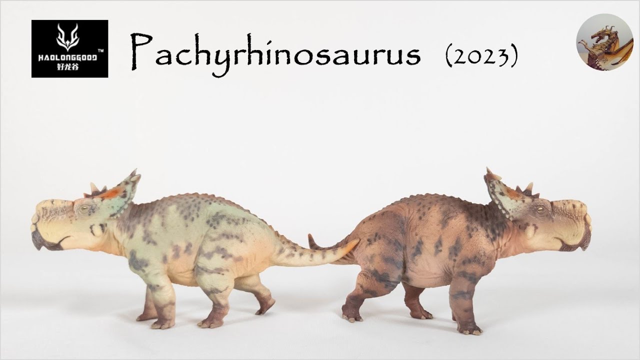 253: Haolonggood Pachyrhinosaurus (2023) Review