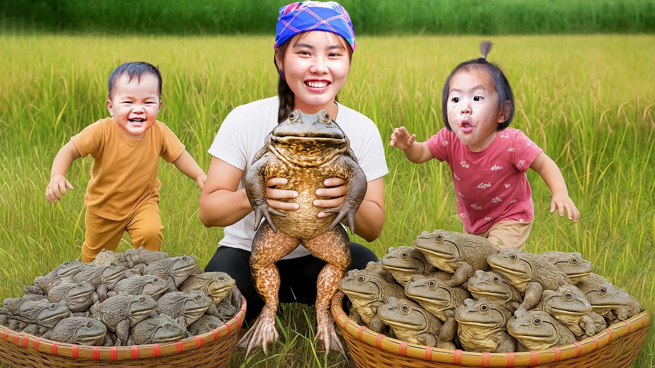 Catch giant frogs cook delicious dishes, harvest boiled duck eggs for children to eat, catch fish