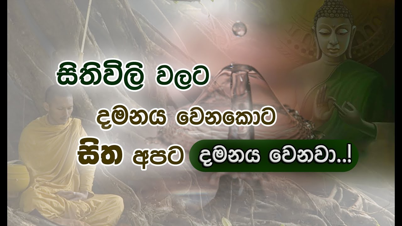 සිත දමනය කරන ආර්ය ශ්‍රාවකයාට... (සිතේ ක්‍රියාවලියට දමනය වීම.) _Niwan Dakimu