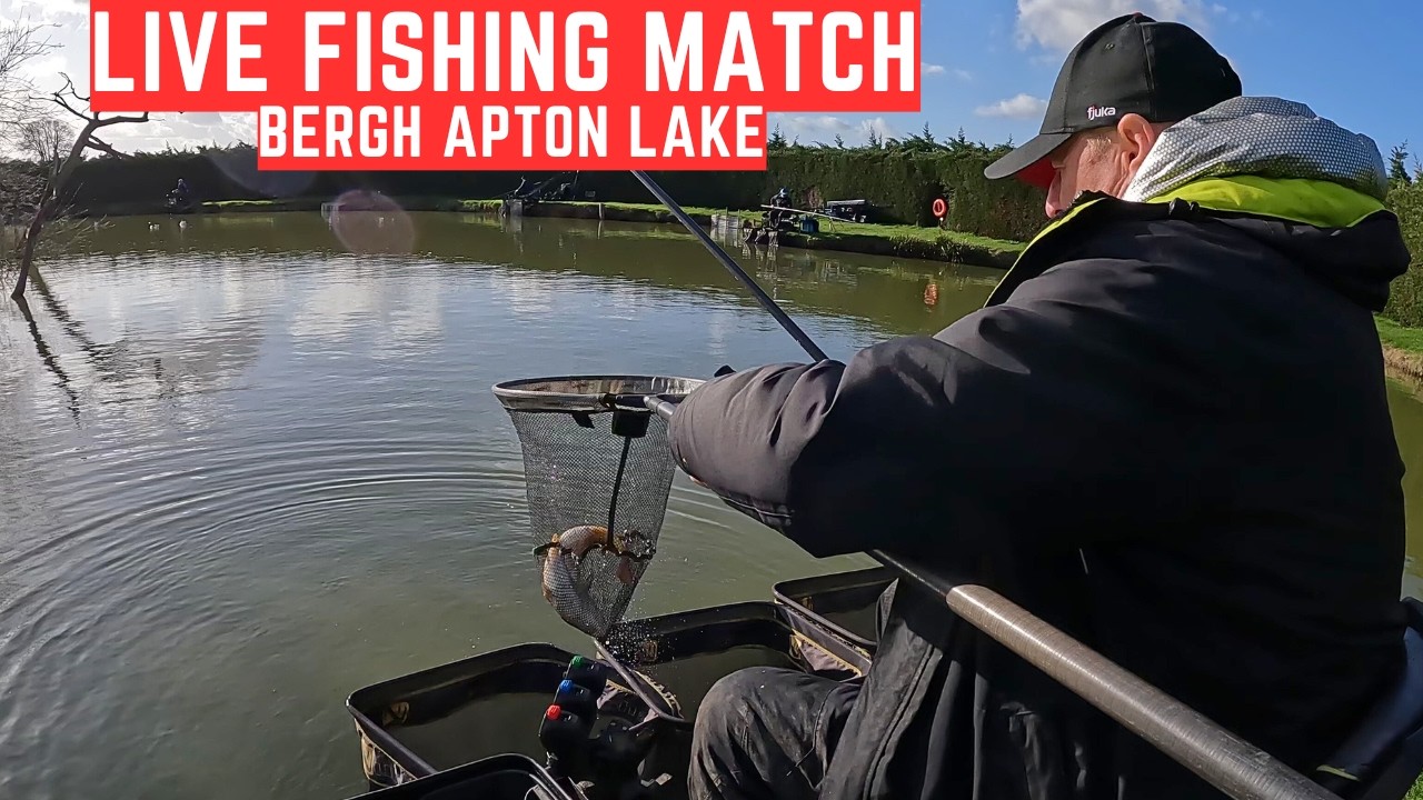 Live Fishing Match Bergh Apton Lake NR15 1BN, #matchfishinguk