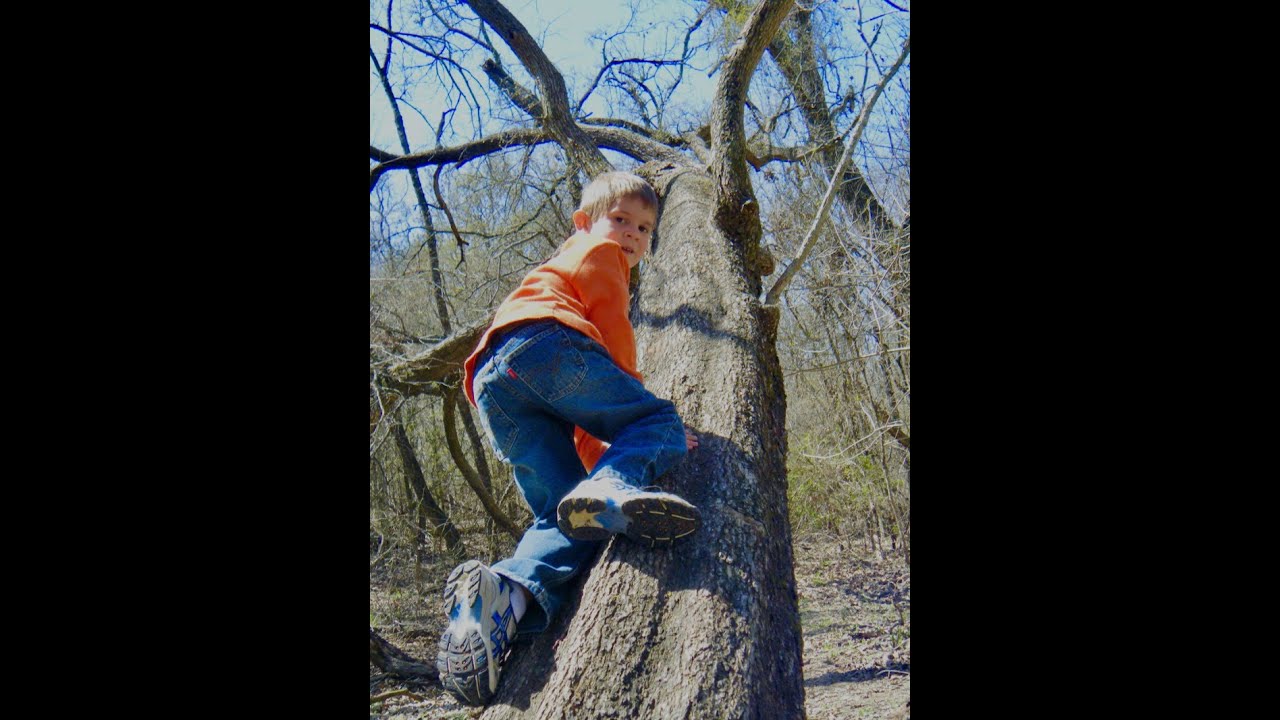 022  Homeschooling In The Wild