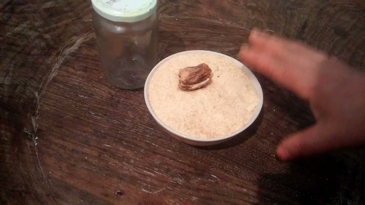 كل من اراد ان يحضر الخميره البلديه في هذا البرد القارس بدون حموضه فليتبع هذه المراحل