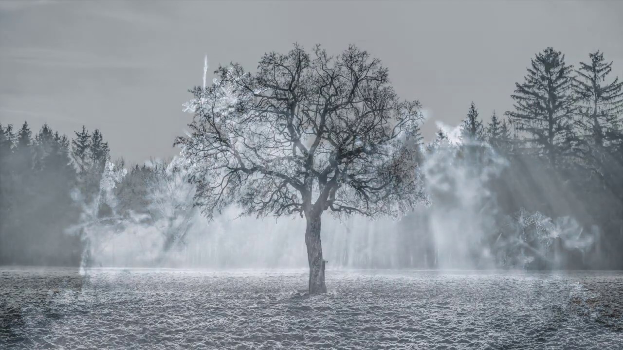 DELVA feat. Nic Frost & Caspar Pan - Winterkind (Official Lyric Video)