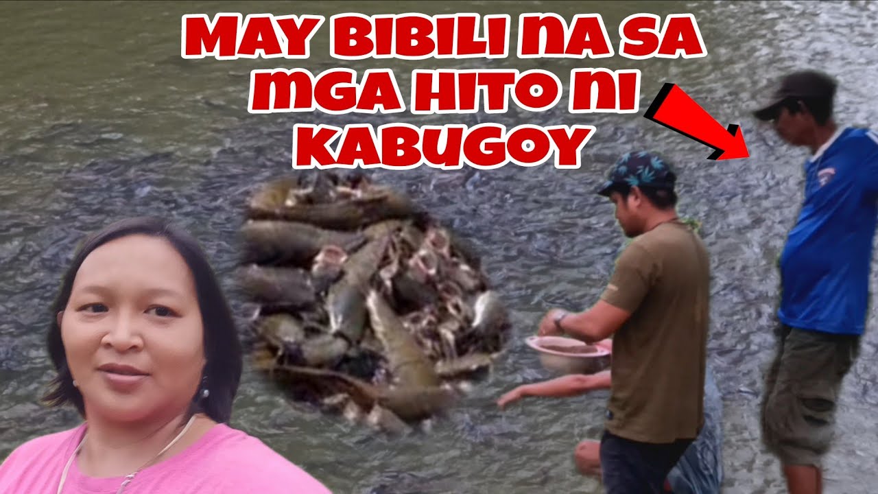 MAY BUYER NA ANG ALAGANG HITO NI KABUGOY@JOXMTV@JaperSniperOfficial