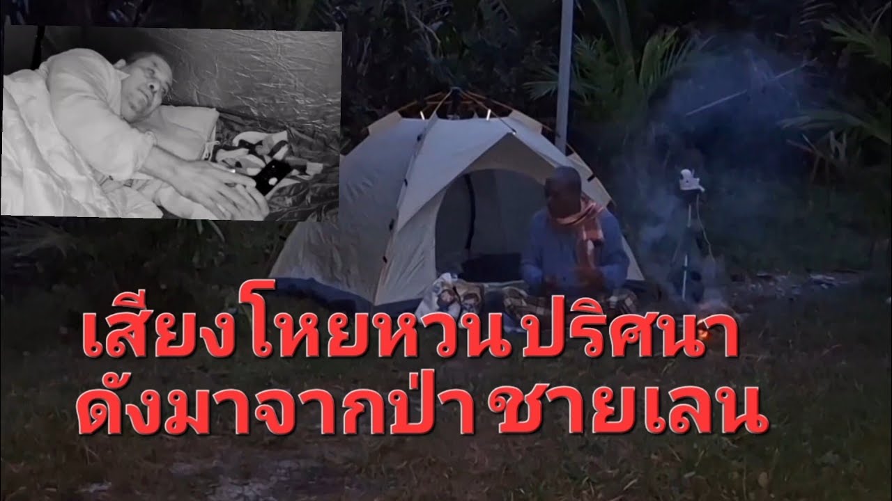 เสียงโหยหวนปริศนา ดังมาจากในป่าชายเลน 