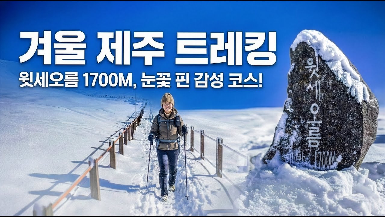 폭설 다음 날 열린 설국 한라산 (영실→윗세오름)