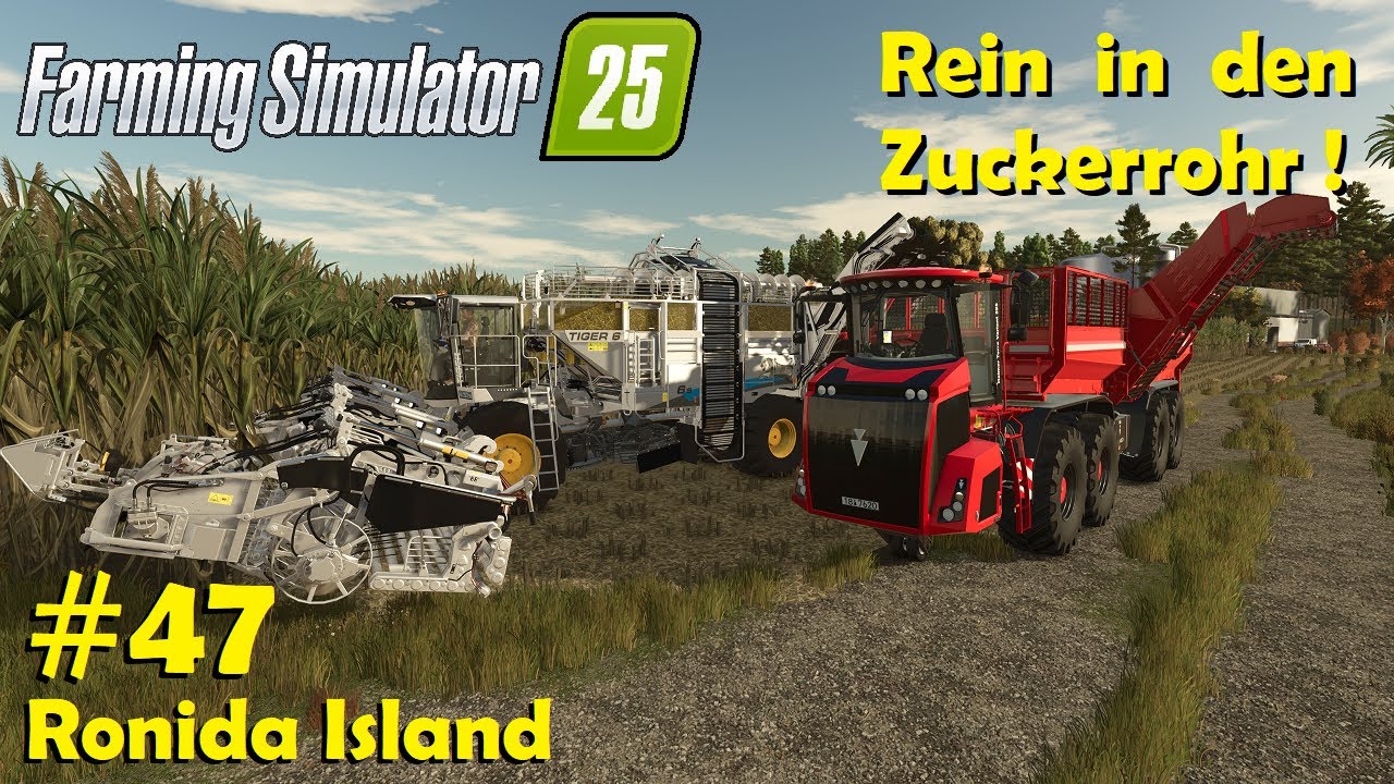 LS25 Ronida Island #47 Zuckerrohr ernten mit großem Gerät für dicke Gewinne / Farming Simulator 25